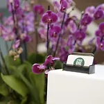 アパート One ブカレスト